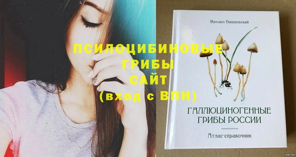 альфа пвп Няндома