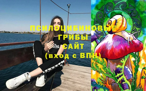 альфа пвп Няндома