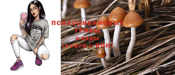 МДПВ Нязепетровск