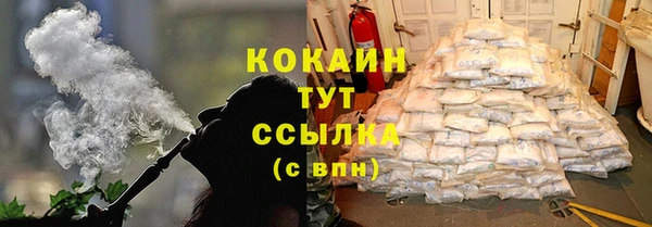 твердый Нягань