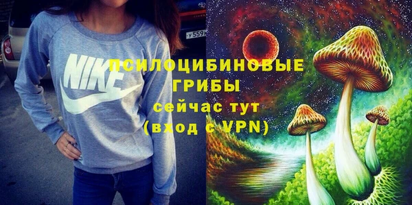 МДПВ Нязепетровск