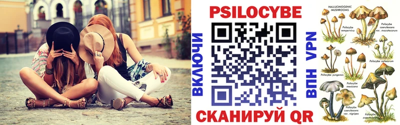 Галлюциногенные грибы Psilocybe  как найти наркотики  блэк спрут как зайти  Челябинск 