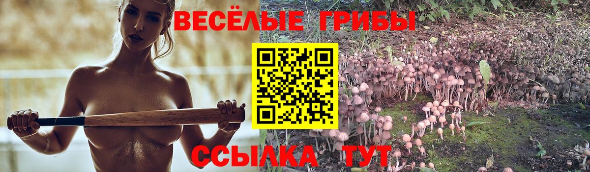 Галлюциногенные грибы GOLDEN TEACHER Челябинск