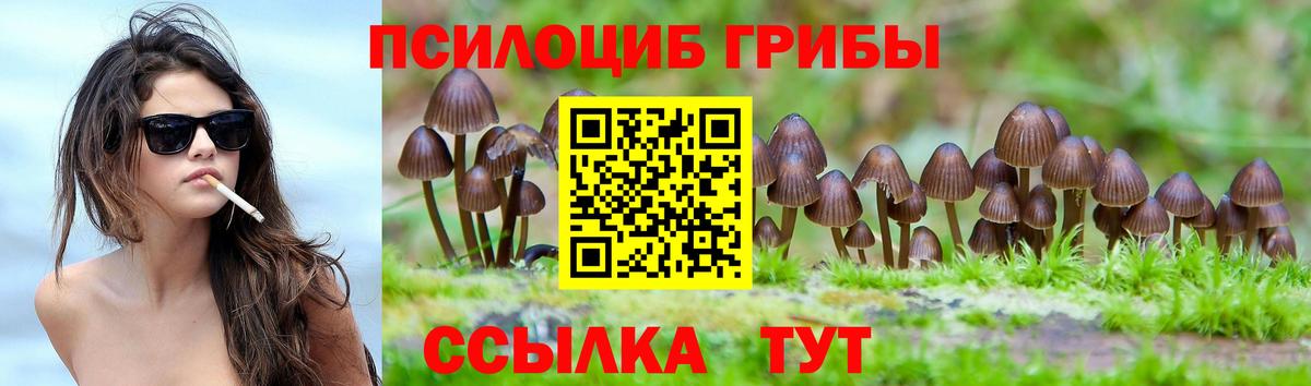 продажа наркотиков  Вход с VPN  Челябинск  Галлюциногенные грибы Cubensis 